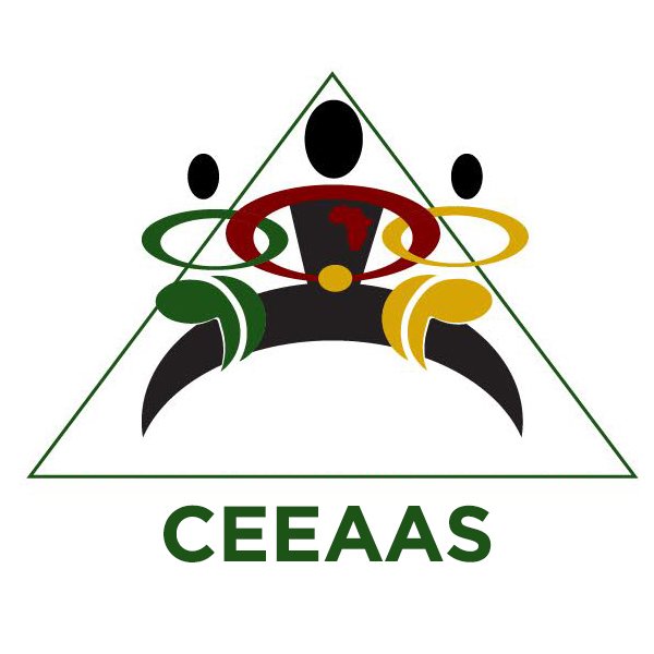 The Center for the Education and Equity of African American Students (CEEAAS) disseminates research on the effective teaching of African American students.