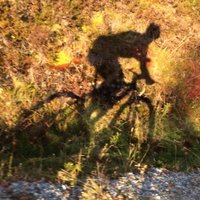 Tor Eldevik(@TorEldevik) 's Twitter Profile Photo Tor Eldevik(@TorEldevik) 's Twitter Profile Photo