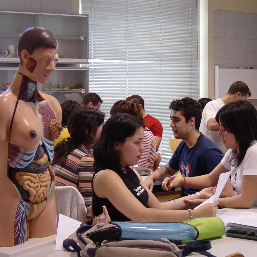 Fafeto_UCLM's profile picture. Twitter oficial de la Facultad de Fisioterapia y Enfermería de Toledo.  #UCLM