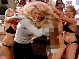 badgirlscmiami's profile picture. Get ready for the badest bitches in town. This is the official BGC Twitter page.