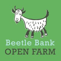 Beetle Bank Farm (@beetlebankfarm) 's Twitter Profile