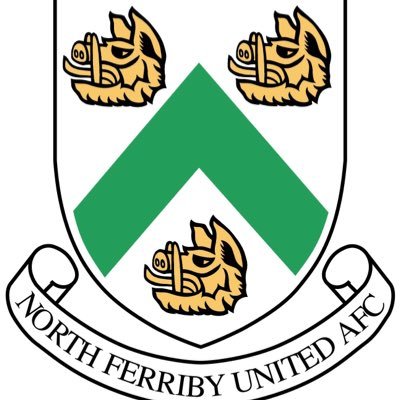 Fun and enjoyable 6 aside at North Ferriby united ground. if interested please contact 07845767275 thanks