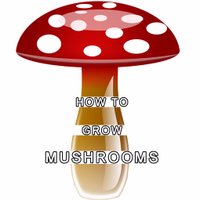 How To Grow Mushroom(@togrowmushrooms) 's Twitter Profile Photo