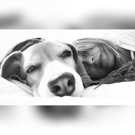 Mecánica Dental y Odontóloga, amo mi profesión y adoro a mi Milonga 🐶 #Inlove