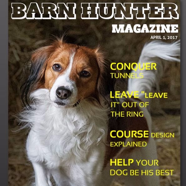 Digital publication celebrating the great canine sport of Barn Hunting! Packed with photos, training tips and profiles of judges, competitors, clubs and dogs.