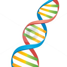 Lba34Lisa's profile picture. Cancer Genetics Nurse. My tweets are my own.