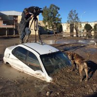 100% Dell'Isola (@marcedellisola) 's Twitter Profile Photo