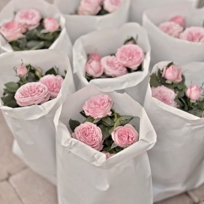 إنّي إذا عَبَس الزَّمانُ بساحتي أضحكتُهُ واخترتُ أن أتفَائل 🌿