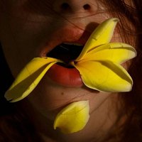 Emergent Phemininomenon (@marcyvq12) 's Twitter Profile