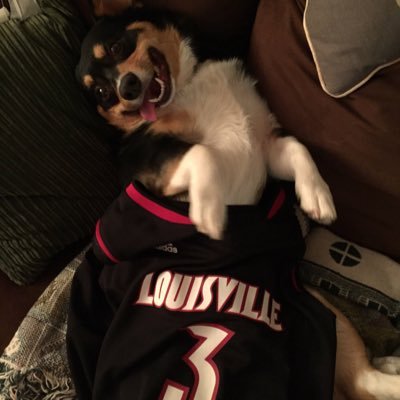 gorgui_corgi's profile picture. 