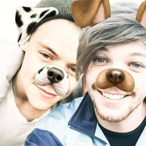larryismilife's profile picture. My true loves @Louis_Tomlinson @NiallOfficial, @Harry_Styles, @LiamPayne, @zaynmalik