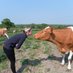 Briddlesford Farm (@briddlesford) Twitter profile photo Briddlesford Farm (@briddlesford) Twitter profile photo