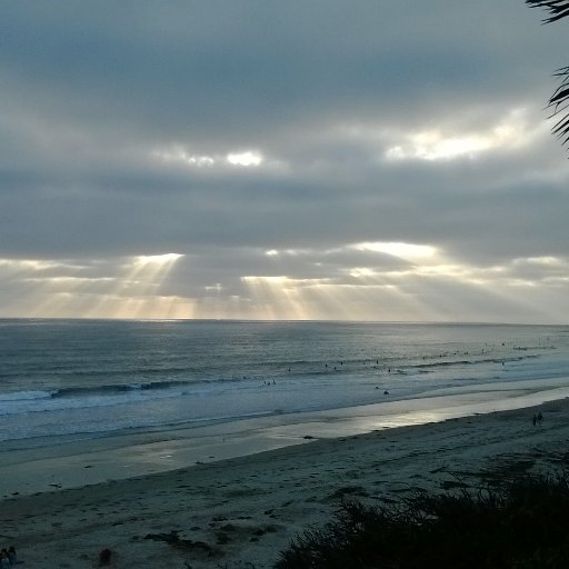 wraub's profile picture. Caught between cur and curmudgeon, lobbing epigrams at the ether. 
All photos are mine, unless noted.