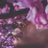 ___z118's profile image