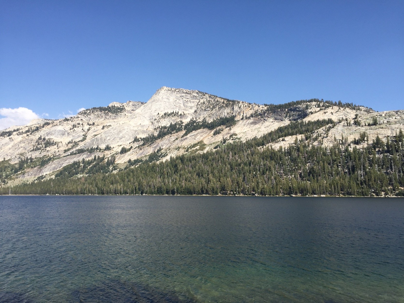 kaitlynrpratt's profile picture. 