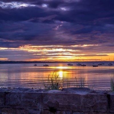 Chotto_Hanashi's profile picture. 