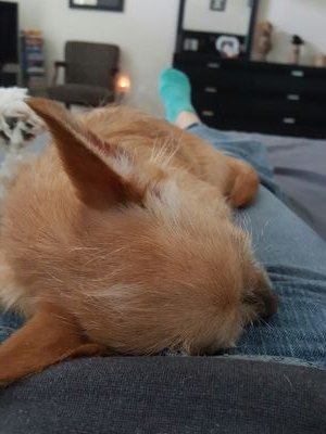 AngelaH10369070's profile picture. Music Pop