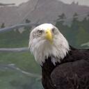 Dan Himes - @danielhimes - Twitter