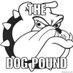 the dog pound (@THEDOGPOUND1) Twitter profile photo