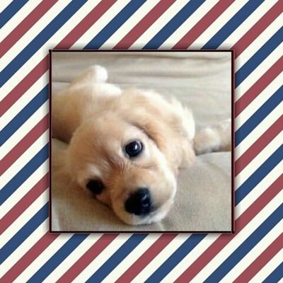 nathaliaperez21's profile picture. 