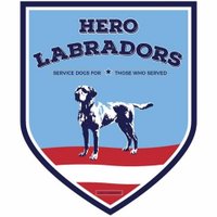 Hero Labradors(@HeroLabradors) 's Twitter Profile Photo