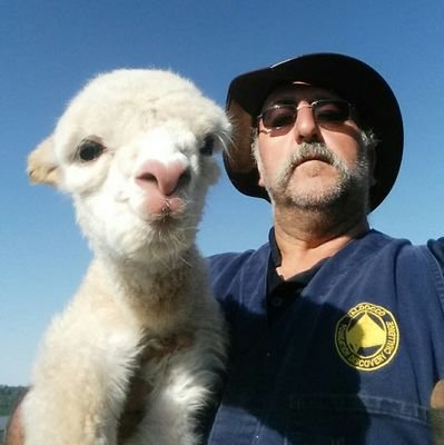 Teacher, Alpacas, Soccer Dad. Science, Politics. Year 8 Learning Leader - passionate about teaching and making sure teachers are happy. Like to give back.