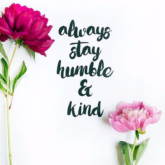 stylelifeme's profile picture. 