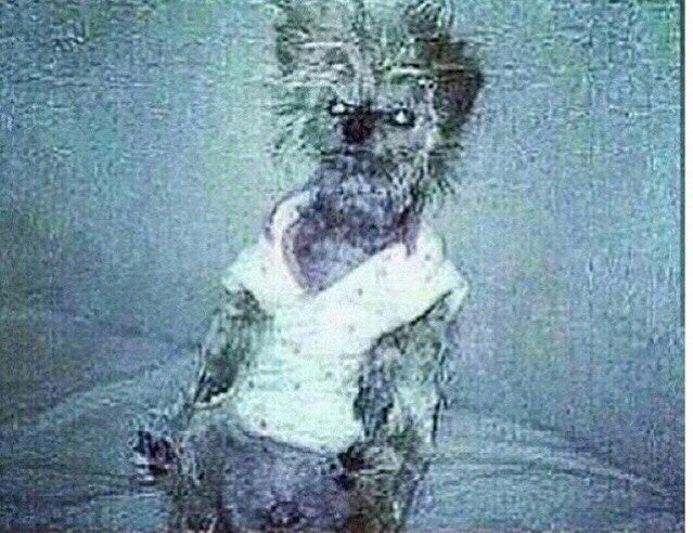 manormuppetfan1's profile picture. bachonga