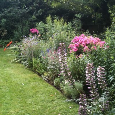 Rectory_Garden's profile picture. Keen gardener, passionate about plants and living in a modern urban Anglican rectory .Member of WFGA .Former #WRAGS trainee.All views my own 🇺🇦