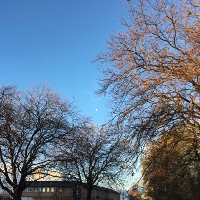 Talihina98's profile picture. 