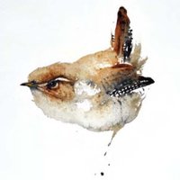 Vipère (@troglodette) 's Twitter Profile