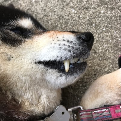 x7gjoPWtaDOdASa's profile picture. 風に膨らんだカーテンを抱きしめたい