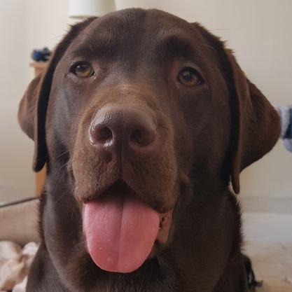 conorcorrigan77's profile picture. 