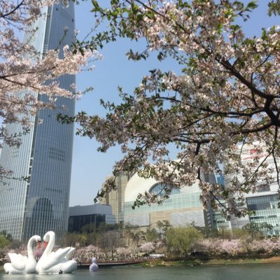 skynwaters's profile picture. 