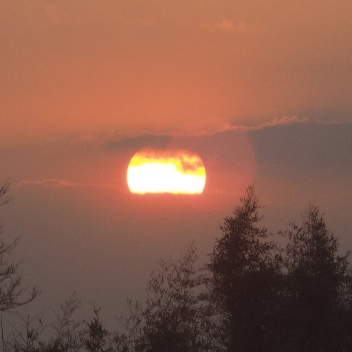 こんにちは、
写真が趣味です。
花の撮影、カワセミの撮影に、
行きます。
すみません。DMは返しませんm(_ _)m