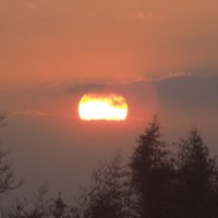 Primera (@2021primera) 's Twitter Profile