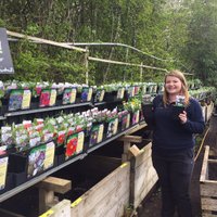Bunkers Hill Flowers (@bunkersgarden) 's Twitter Profile