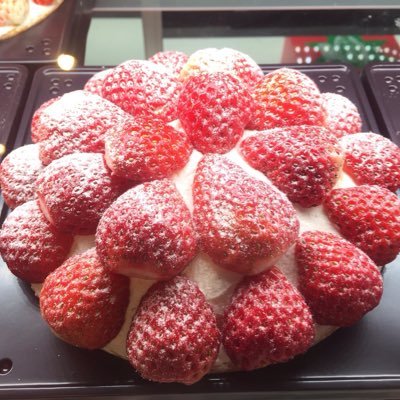 CdtcU6u0TTnvFpG's profile picture. 