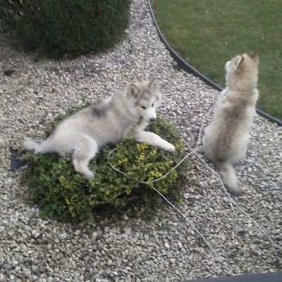 MichaelST82's profile picture. 