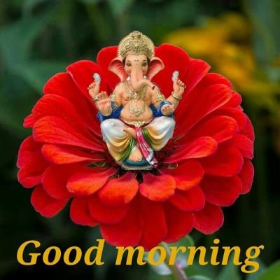 svtodewale's profile picture. Retired BSNL Executive