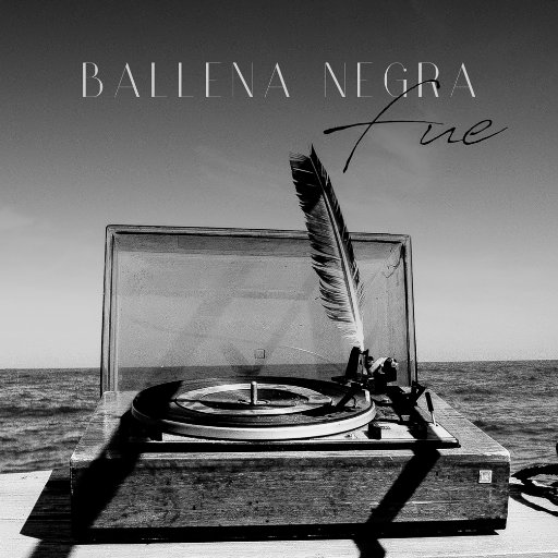 Ballena Negra es una banda rockwave capitalina que cobra vida en febrero de 2015 y que ha lanzado recientemente su último disco