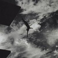 Quizbold 🎗️ (@quizbold) 's Twitter Profile