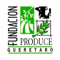 produceqro's profile picture. 