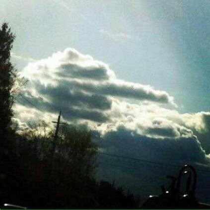 rodo_ferras's profile picture. 