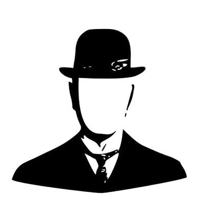 Programador, Consultor y Analista Independiente.
