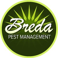Breda Pest (@bredapest) 's Twitter Profile