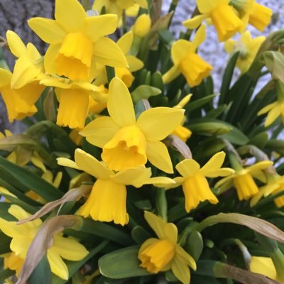 LievenR's profile picture. 