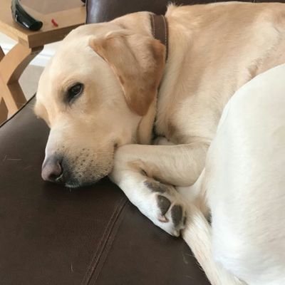 paulcruick's profile picture. 