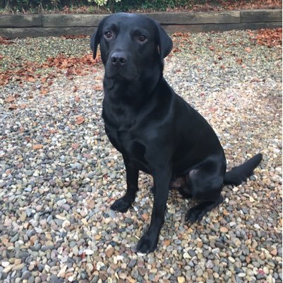 Worty01's profile picture. Solicitor likes fast cars & slow food. Hull City AFC fan. Himalayas 2014 Polar expedition 2015 lots of boats 2017 Sahara 2018. Adventure opens the mind