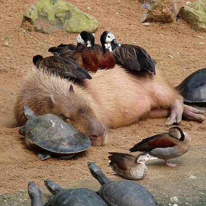 minddistorter's profile picture. 